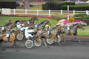 SELECAO DE LOU (Jag de Bellouet-Lola de Lou)
