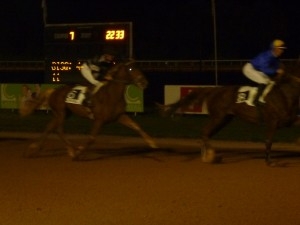 VIKIVERA DE LOU (Love you – Natacha de Lou)