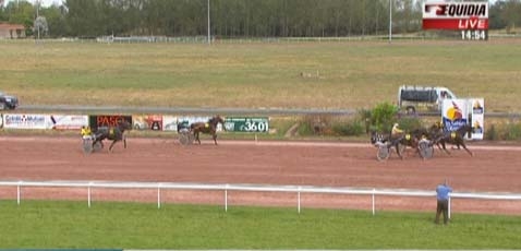 SELECAO DE LOU ( Jag de Bellouet-Lola de Lou)