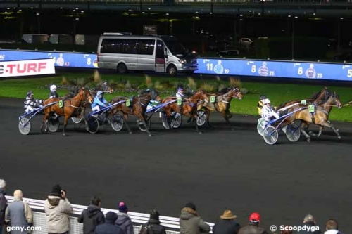 FALCO SACHA (Real de Lou-Nostalgie Scha)