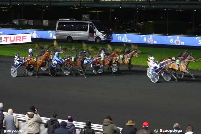 FALCO SACHA (Real de Lou-Nostalgie Scha)