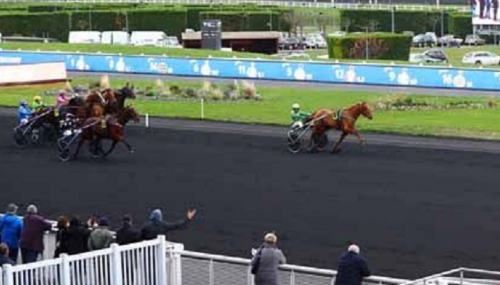 CARIOCA DE LOU (Jag de bellouet-Lola de Lou)