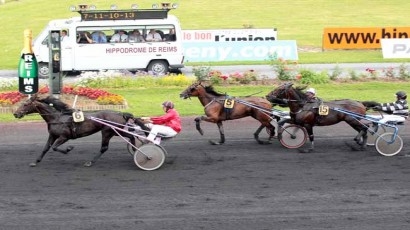 REAL DE LOU (Jag de bellouet-Kooka de Lou)