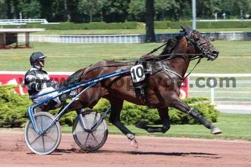 REAL DE LOU (Jag de Bellouet-Kooka de Lou)