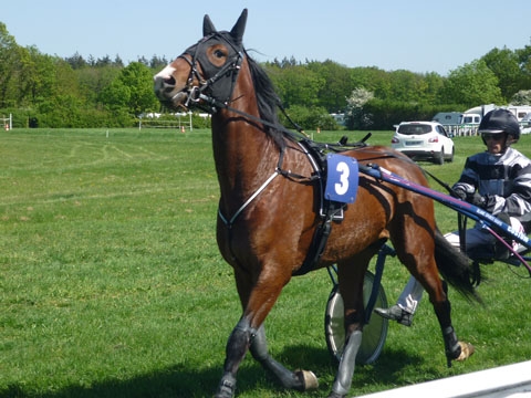 VIN LOVE DE LOU (In love with you-Eastern d’aunou)