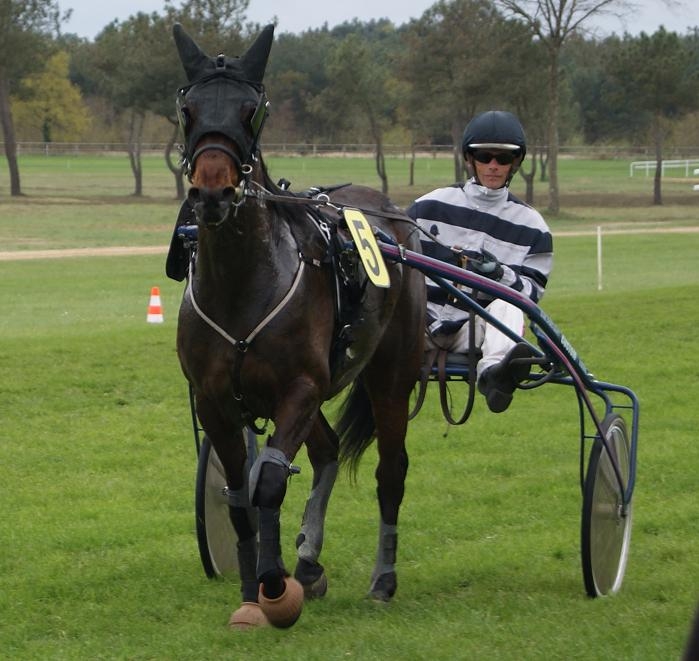 VIVA DE LOU(Quaro-Olinska de Lou)