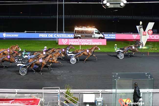 FALCO SACHA (Real de Lou-Nostalgique sacha)