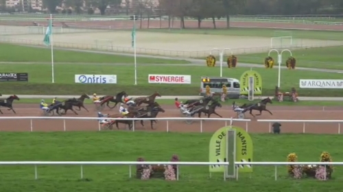 CARIOCA DE LOU (Jag de Bellouet – Lola de Lou)