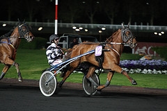 SABA DU VIVIER (Ganymède-Mélusine du vivier)