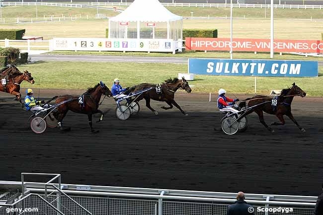 SELECAO DE LOU (Jag de Bellouet-Lola de Lou)