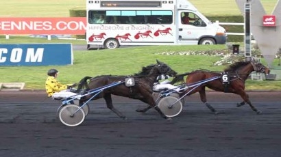 UNORA DE LOU (Goetmals wood-Nora de Lou)