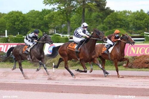 FASCINOSO DE LOU (Prodigious-Riviera de Lou)