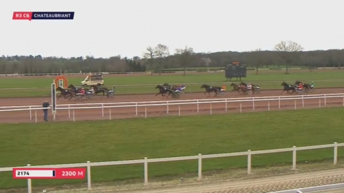 FILHIO DE LOU (Prodigious-Lola de Lou)