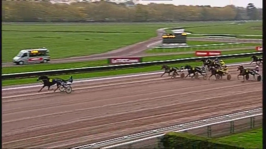 FOREST DEVIL (Real de Lou-Miss de Guez)