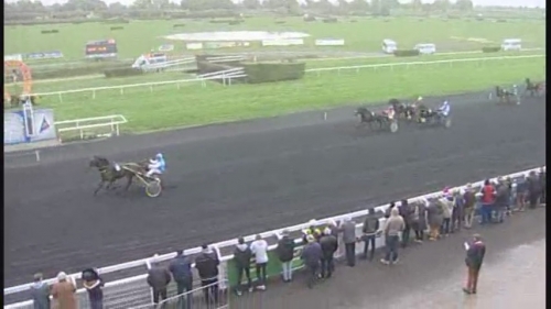 GALEO DE LOU (Sam Bourbon-Vikivera de Lou)