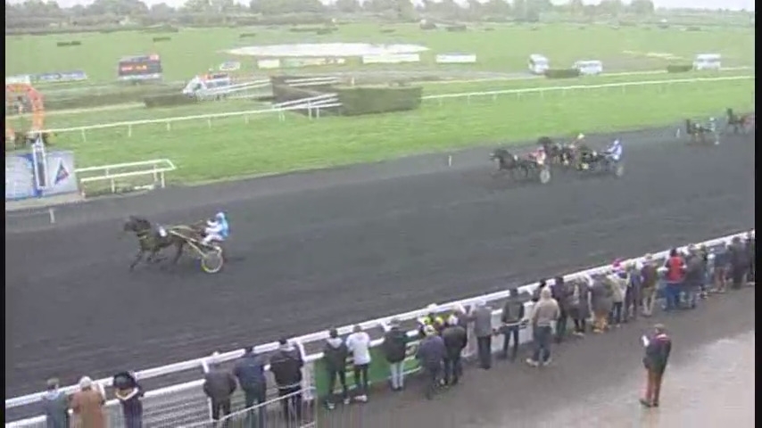 GALEO DE LOU (Sam Bourbon-Vikivera de Lou)