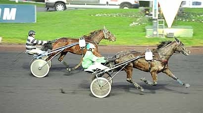 UNORA DE LOU(Goetmals wood-Nora de Lou)