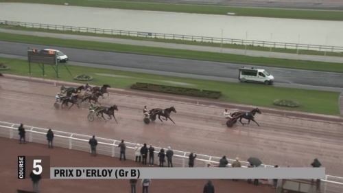 GALLIA DE LOU (Real de Lou-Tanga de Lou)