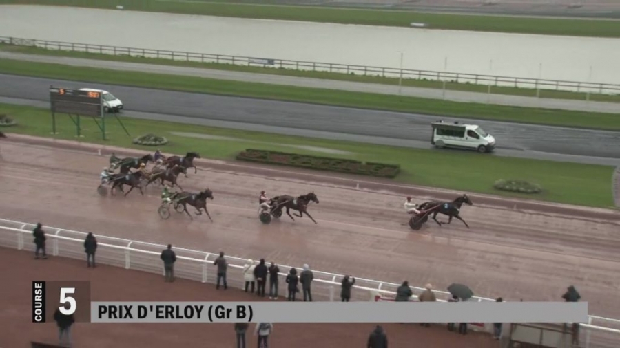 GALLIA DE LOU (Real de Lou-Tanga de Lou)