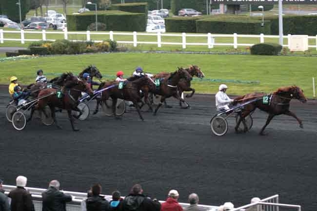 UNORA DE LOU (Goetmals wood-Nora de Lou)