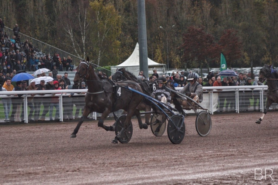 CARIOCA DE LOU (Jag de bellouet-Lola de lou)