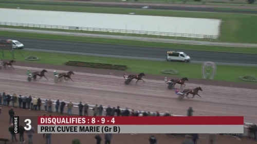 GALLIA DE LOU (Real de Lou-Tanga de Lou)