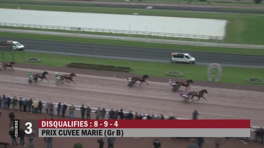 GALLIA DE LOU (Real de Lou-Tanga de Lou)