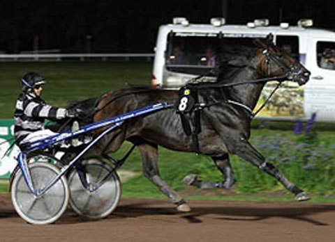 REAL DE LOU(Jag de bellouet-Kooka de lou)