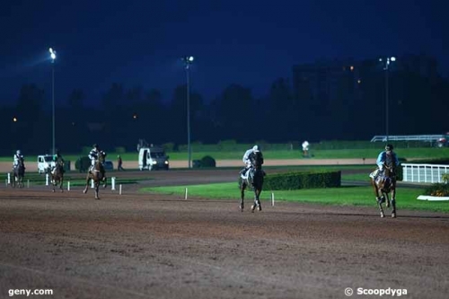 GIORGIO DE LOU (Real de Lou-Venezia de Lou)