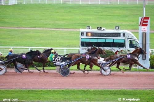 FALCO SACHA (Real de Lou-Nostalgique Sacha)