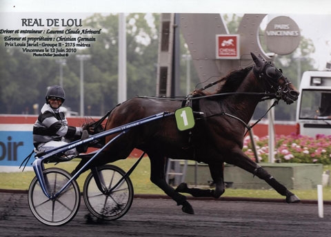 REAL DE LOU(Jag de bellouet-Kooka de Lou)