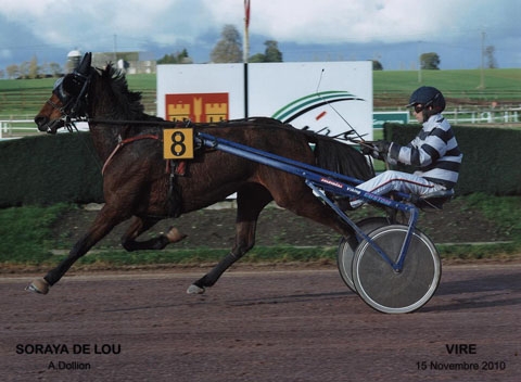 SORAYA DE LOU(Coktail Jet – Grande Bretagne)