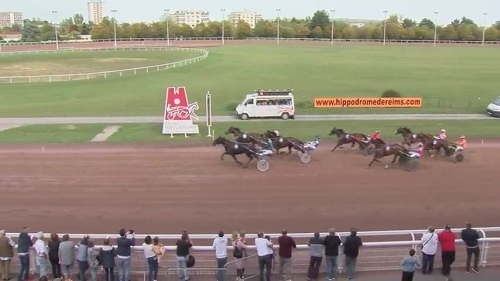 ELEGANT DE TESS (Real de Lou – Riva de Lou)