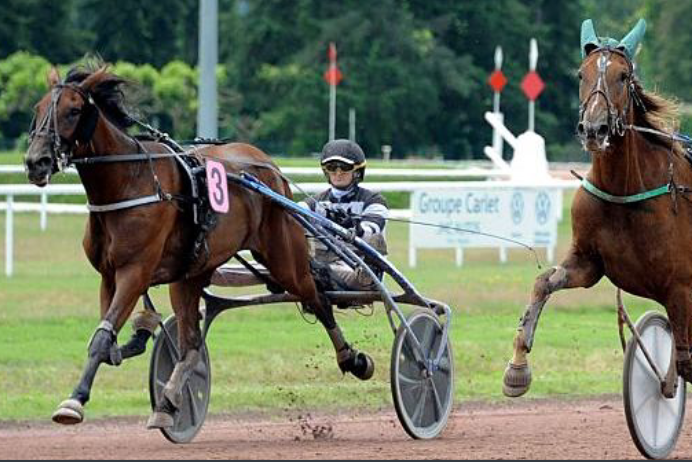 IPANEMA DE LOU (Sam Bourbon-Selecao de Lou)
