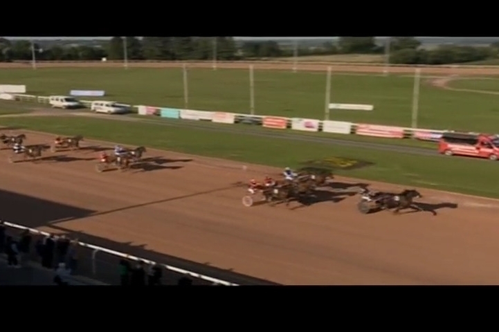 INTUITION DE LOU  ( Real de Lou-Bellissima de Lou)