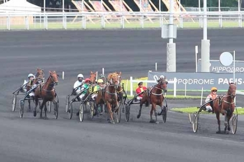 FALCO SACHA (Real de Lou-Nostalgique sacha)