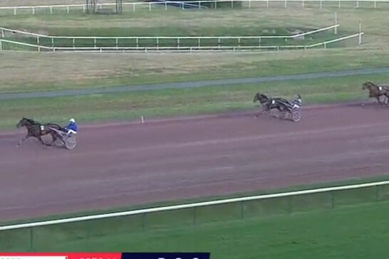 INCOGNITO DE LOU (Un amour d'Haufor-Sierra de Lou)