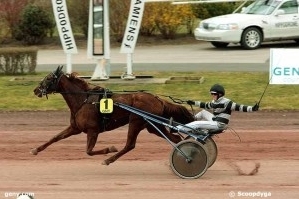 JUNON DE LOU (Real de Lou-Saba du vivier)...