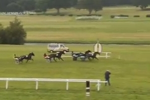 IMANOLO DE LOU ( Booster winner-Star de Tembia) ..