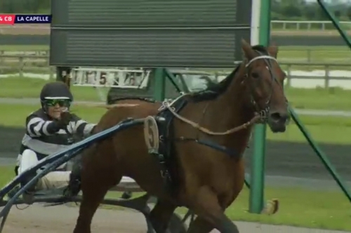 DOMINGO DE LOU (Real de Lou-Quinska de Lou)