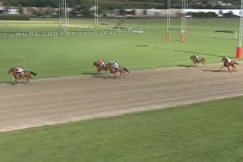 GIORGIO DE LOU (Real de Lou-Venezia de Lou)