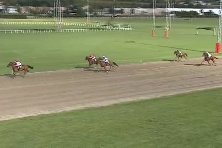 GIORGIO DE LOU (Real de Lou-Venezia de Lou)