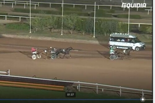 ELMAGNIFICO DE LOU (Prodigious-Prima dona de Lou)...