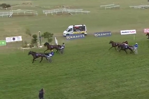 HACIENDA DE LOU (Niky - Venezia de Lou)