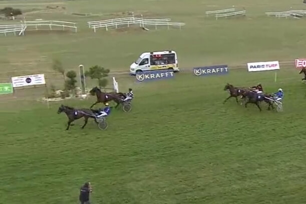 HACIENDA DE LOU (Niky - Venezia de Lou)