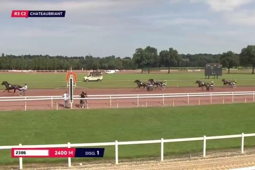 INTUITION DE LOU (Real de Lou-Bellissima de Lou)...