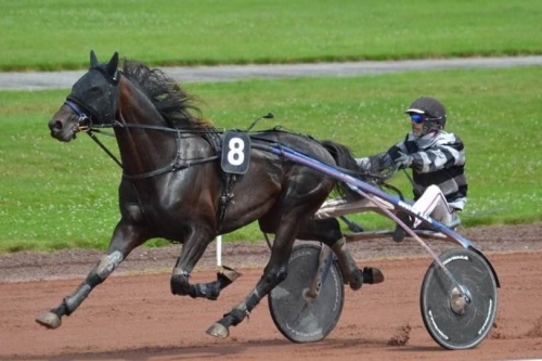 HENRIQUE DE LOU ( Real de Lou-Star de Tembia)...