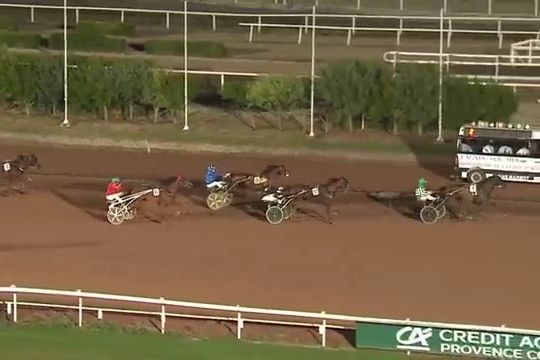 ELMAGNIFICO DE LOU (Prodigious-Prima dona de Lou)