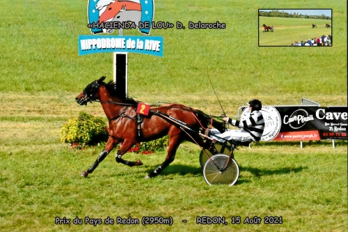 HACIENDA DE LOU ( Niky-Venezia de Lou)