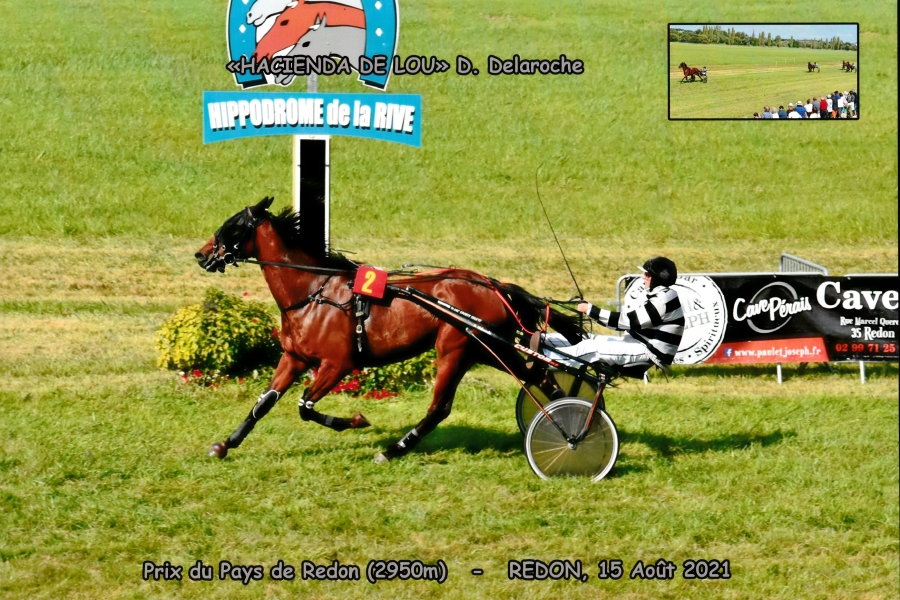 HACIENDA DE LOU ( Niky-Venezia de Lou)